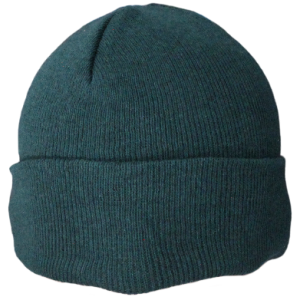 Beanie Green