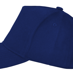Heavy 5 Panel Royal Blue