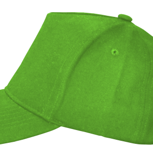Heavy 5 Panel Light Green