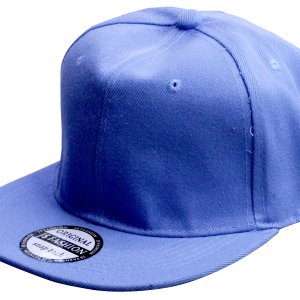JS Flat Peak Cap Blue