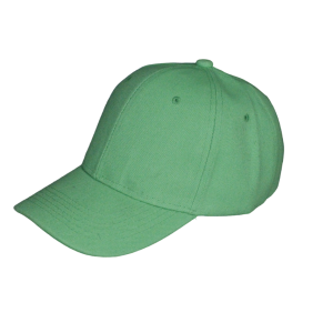 Tampa 6 Panel Green