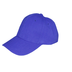 Tampa 6 Panel Royal Blue