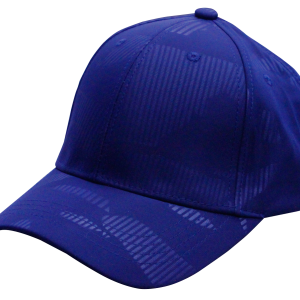 The Miami Cap Blue