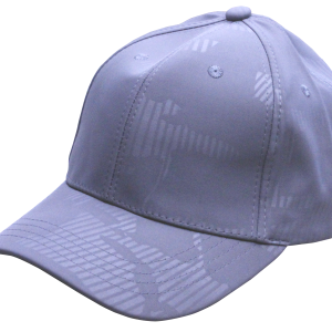 The Miami Cap Grey