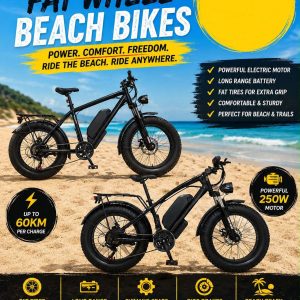 Electric Fat Wheel Beach Bikes